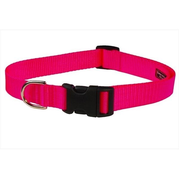 Sassy Dog Wear Sassy Dog Wear SOLID NEON PINK LG-C Nylon Webbing Dog Collar; Neon Pink - Large SOLID NEON PINK LG-C